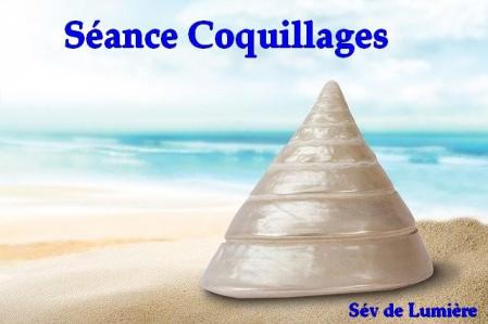 Seance coquillages